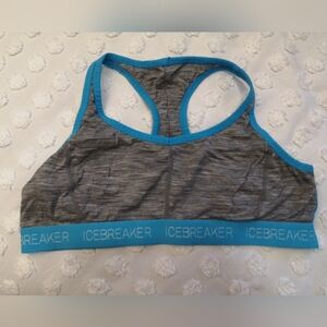 Icebreaker Gray and Blue Sports Bra
